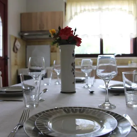 Apartament Despinas *